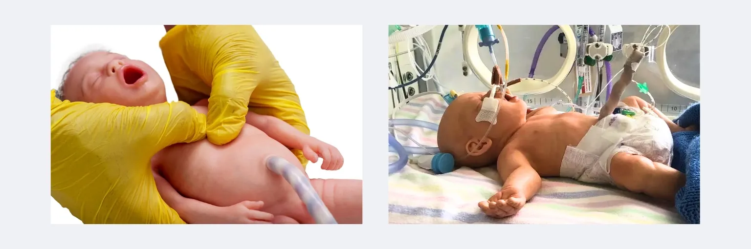 lifecast-babies-product-banner