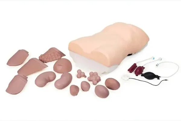abdominal exam trainer-01