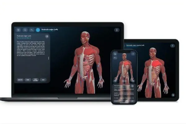 AR anatomy-01