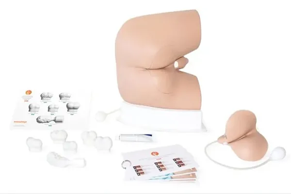 male rectal exam trainer-01