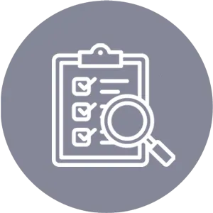 inspection-icon